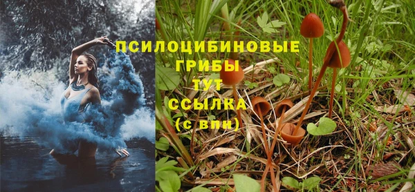 MESCALINE Протвино