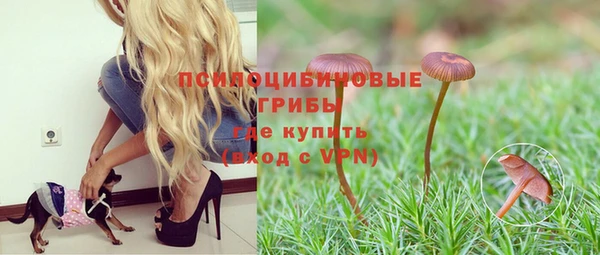 apvp Приозерск