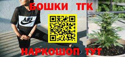 индика Усинск
