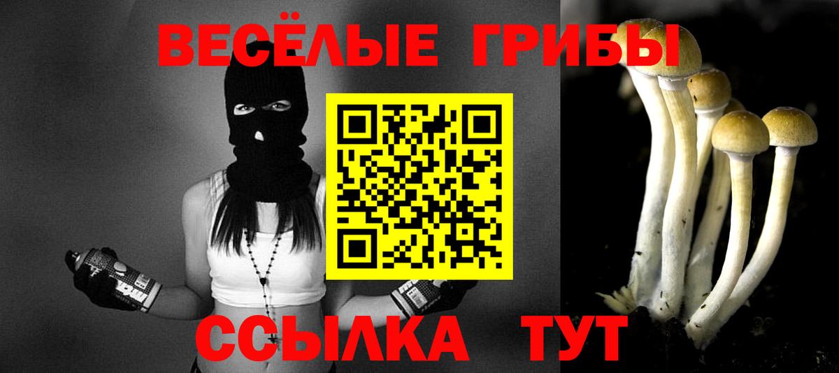 Псилоцибиновые грибы мицелий  Вход с VPN  Владикавказ 